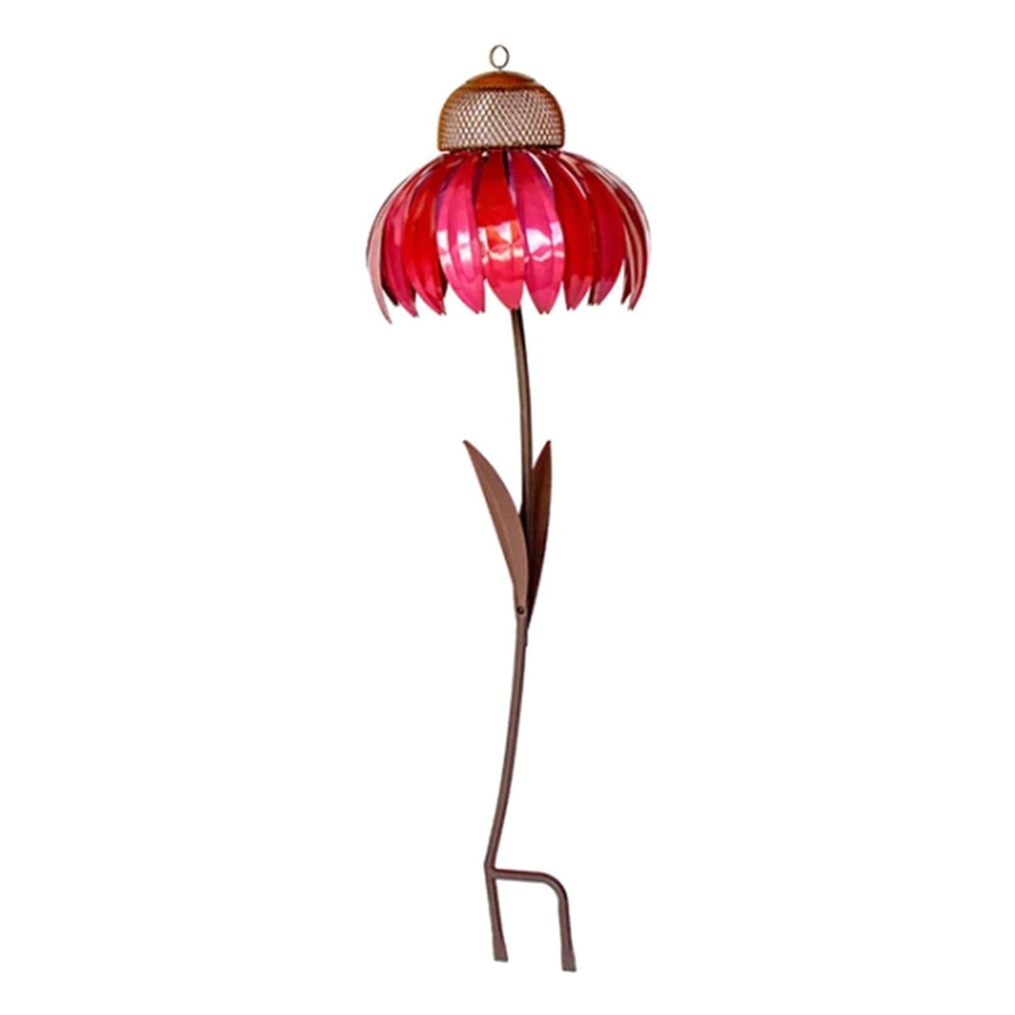 Coneflower Vogelvoeder