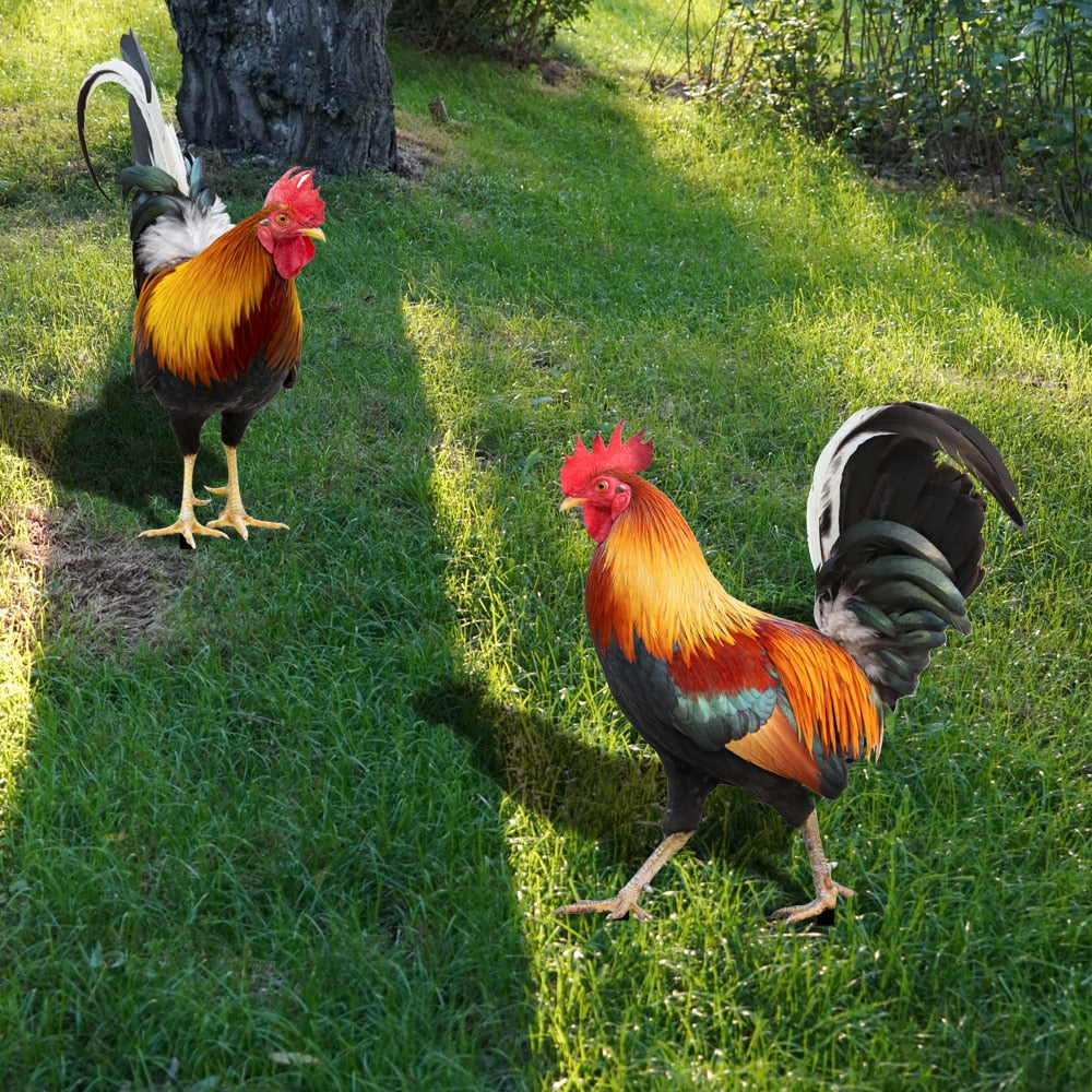 Tuinfiguur: Gevederde Schoonheid