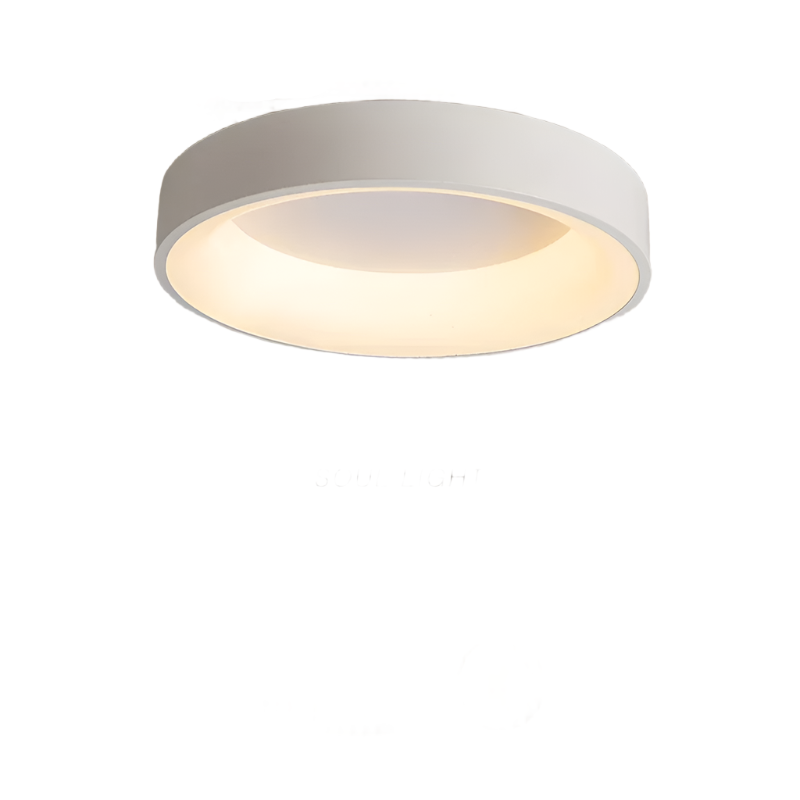 Nordic Modern Ringvormige LED Plafondlamp