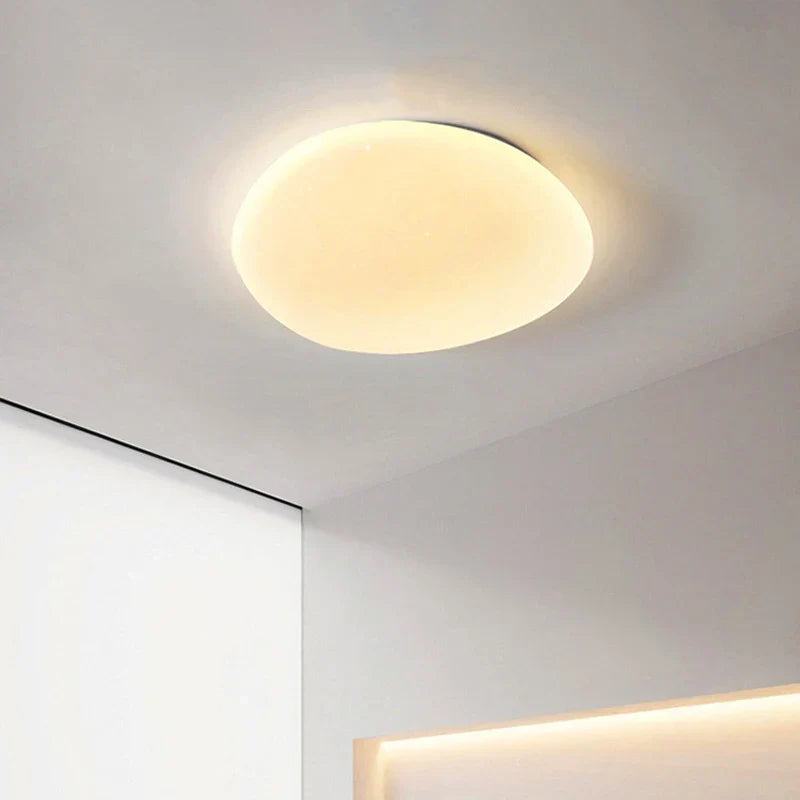 LED Plafondlamp Organische Natuurlijke Steen Vorm