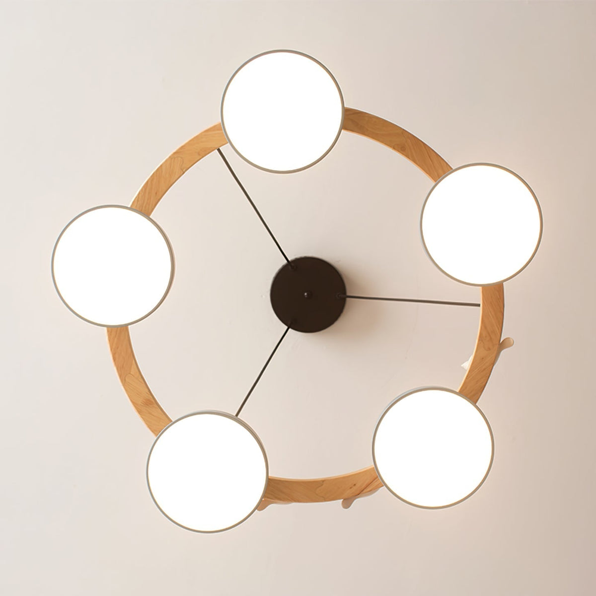 Cliff Chandelier Vogel Rond