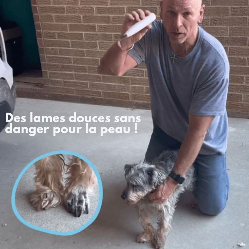Skanto | SilentPet Trimmer – Stille vachttrimmer voor gevoelige gebieden bij hond & kat