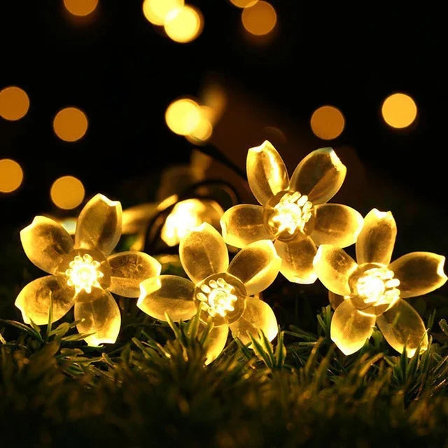 Perzikbloesem Lichtenketting