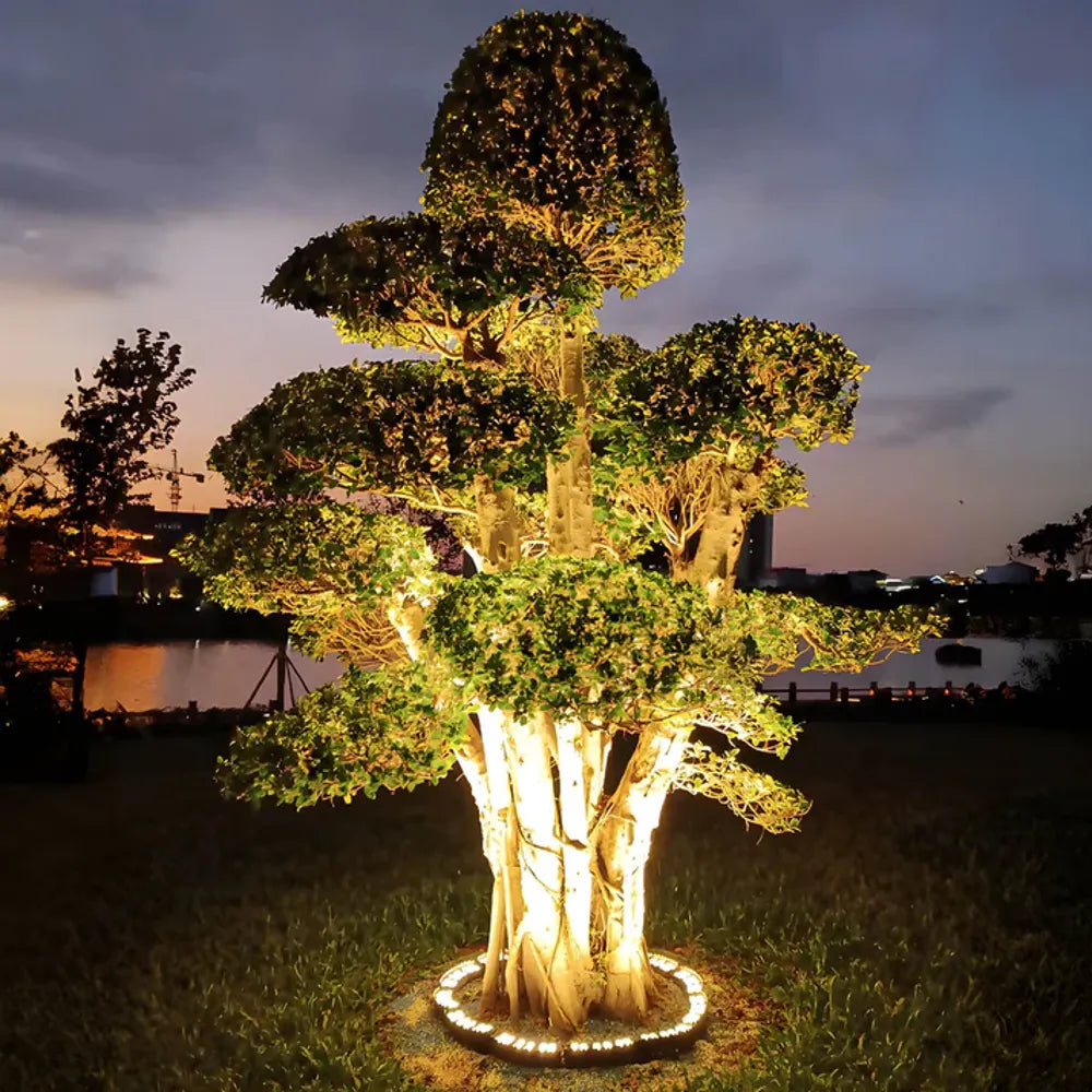 Buiten Spotlicht Voor Boom