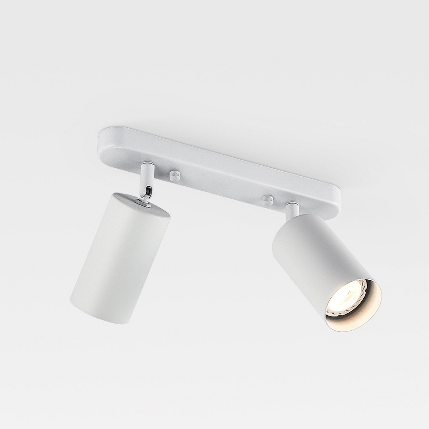 Verstelbare Dubbele Hoofdlamp voor aan het Plafond