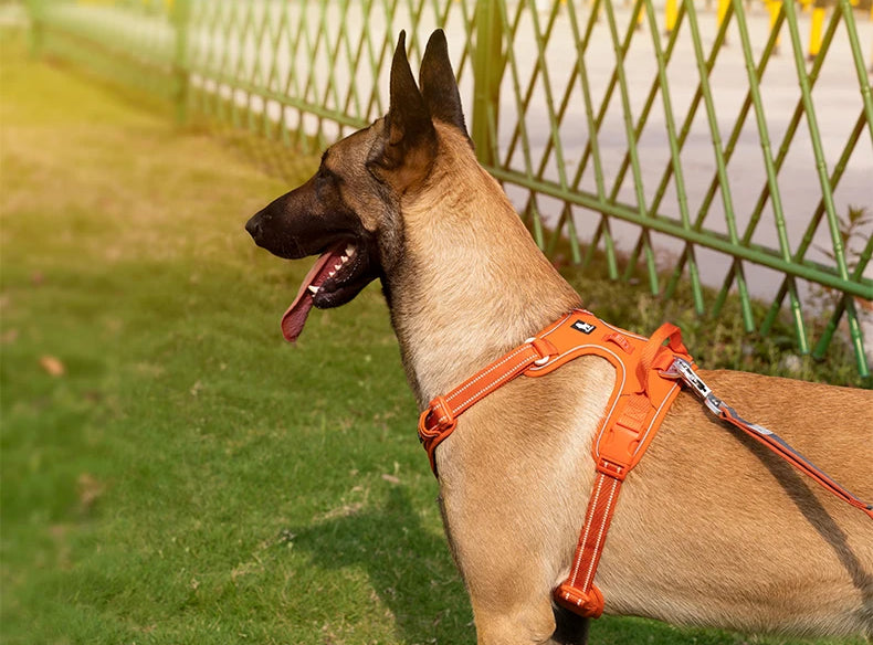 AstraPaw Nylon Harnas Voor Honden Met Reflecterende Bandjes, No-Pull, Voor Alle Maten