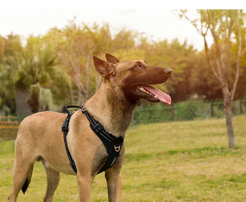 AstraPaw Nylon Harnas Voor Honden Met Reflecterende Bandjes, No-Pull, Voor Alle Maten