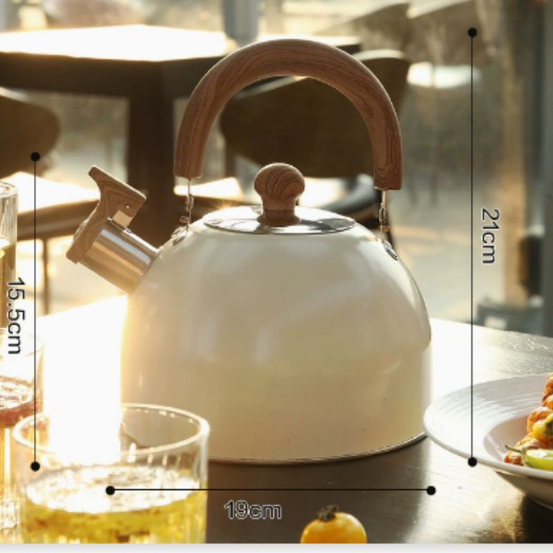 Waterkoker voor Inductie & Fornuis | Waterketel van RVS in Retro Look | Kessora