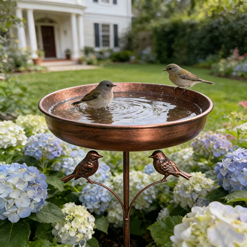Vogelbad | Met Standaard | Robuuste Metalen Kom | BirdHaven