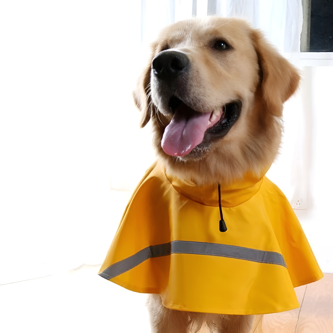 Honden Regenjas met Reflecterende Strips en Waterdicht Ontwerp