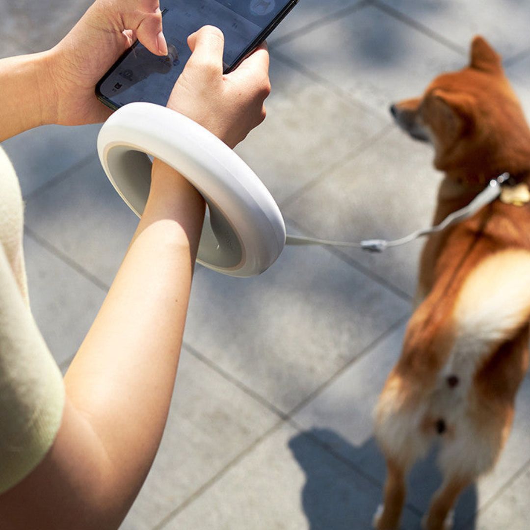 Fluorescerende Hondenriem | Maximize visibility and enjoy tangle-free walks with this innovative leash