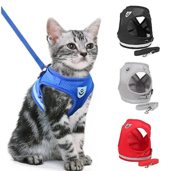 Purr Leash Kattenharnas | Houdt je huisdier zichtbaar en veilig tijdens avondwandelingen.