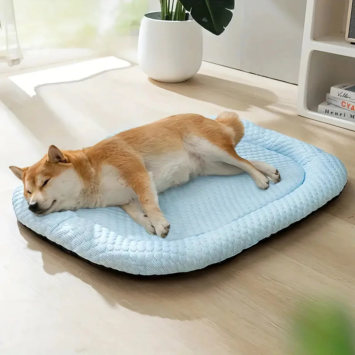 ChillPaws • Koelende Hondenbed