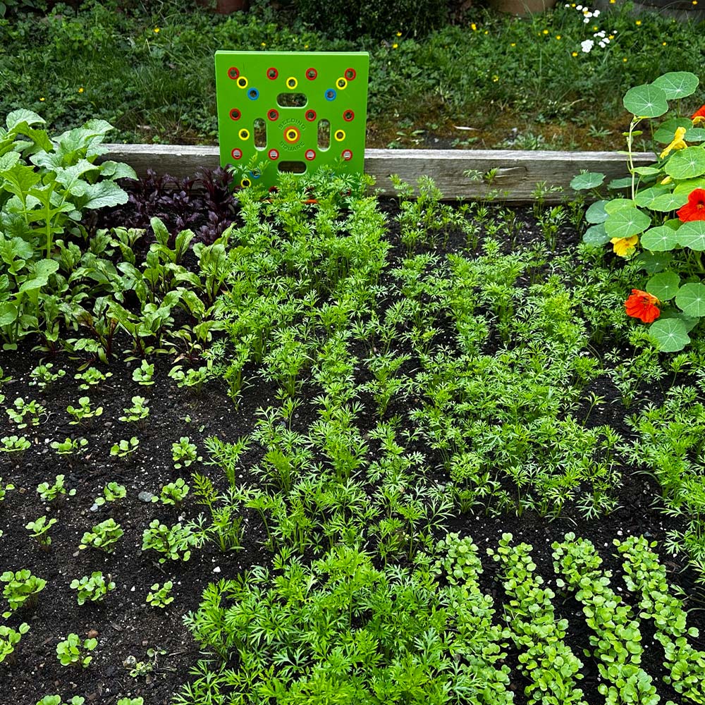 PlantPro | Georganiseerde tuin en perfecte plantgids