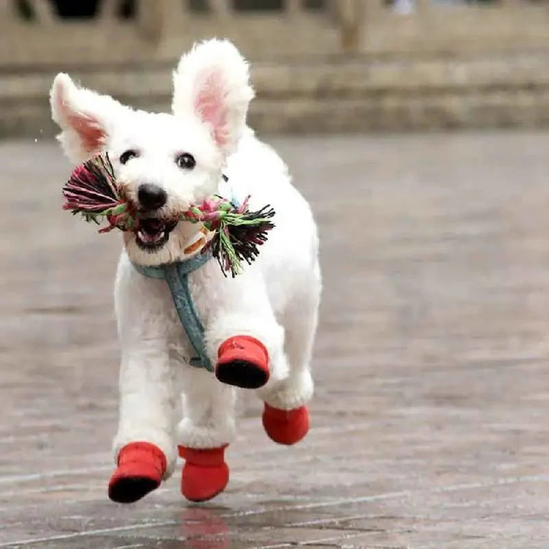 CozyPaws • Honden Waterdichte Boots