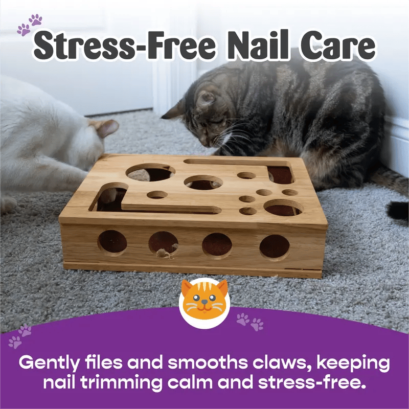 🎁😻Katten Krab Puzzel Verrijkingsdoos✨