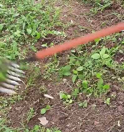 Onkruidhark voor tuinonderhoud | Robuuste tuinhark | WortelKracht
