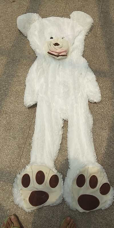 Gigantische Pluche-Teddy – HugHero