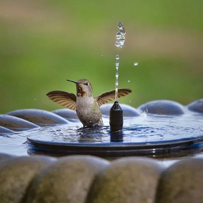 SolarFlow™ | Zonne Springbrunnen – Drijvend, zonder stroom & waterdicht