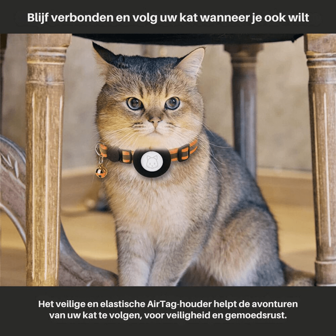 Kat Halsband met GPS Tracking en Reflectie, Verstelbaar