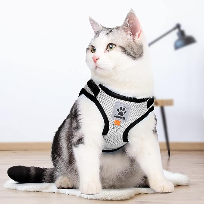 Purr Leash Kattenharnas | Houdt je huisdier zichtbaar en veilig tijdens avondwandelingen.