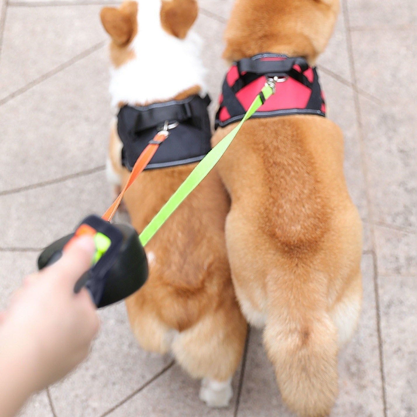 Honden Doppelleine met Poepzakjeshouder & LED Licht | LeinenMeister