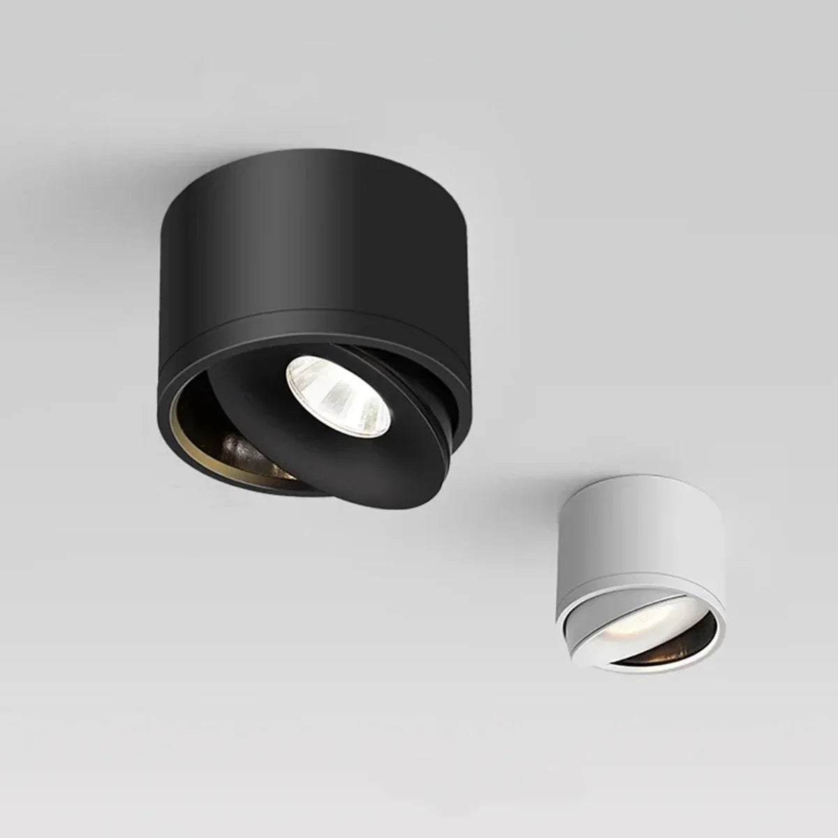 Paulina Opbouw Downlight