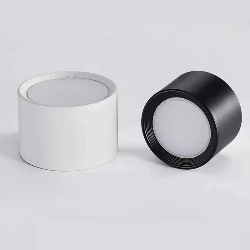 Emberlynn Opbouw Downlight