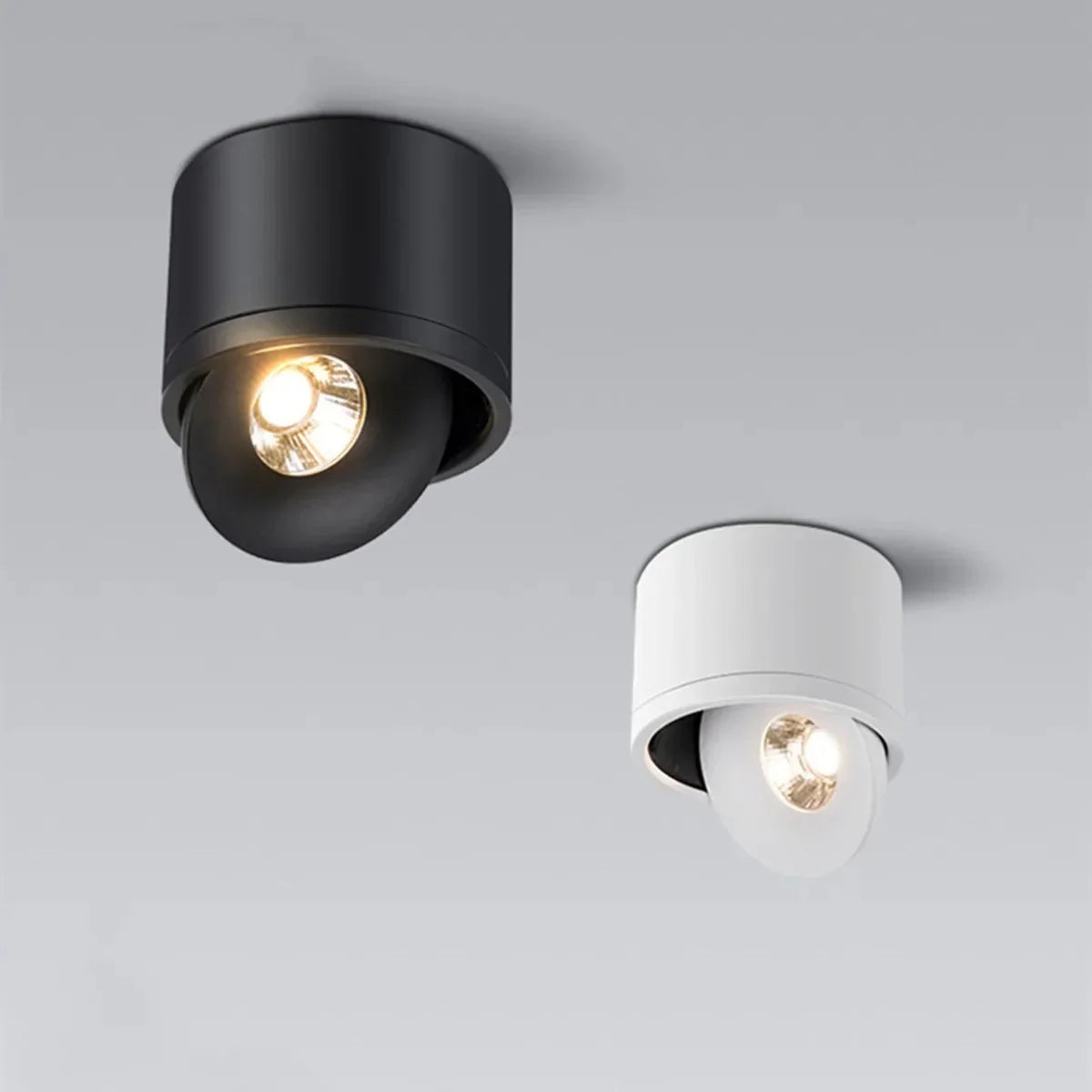Paulina Opbouw Downlight