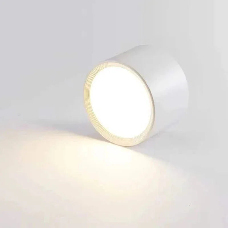 Emberlynn Opbouw Downlight