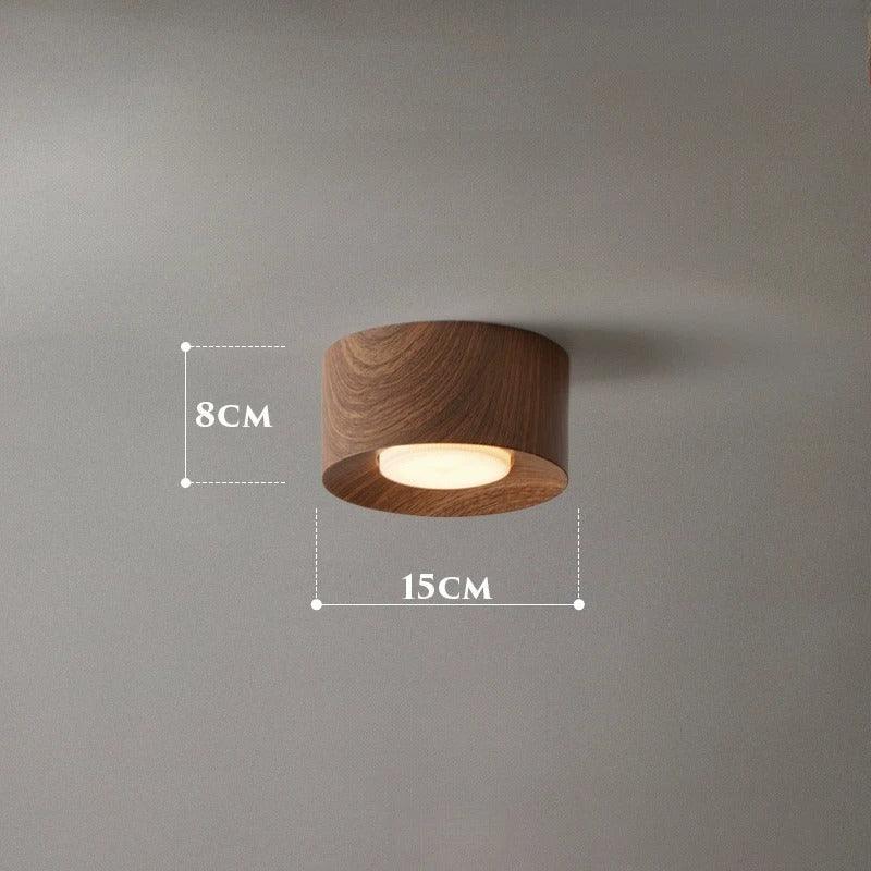 Aila Opbouw Downlight