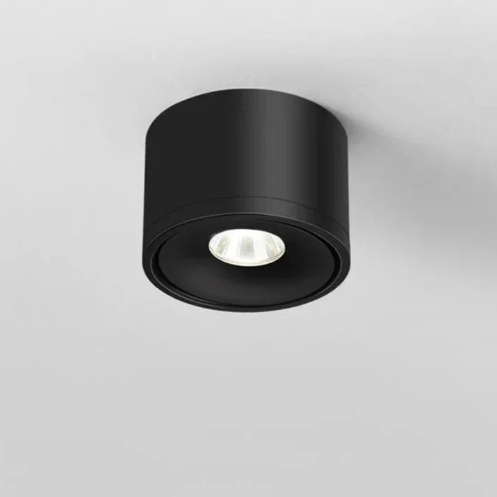 Paulina Opbouw Downlight