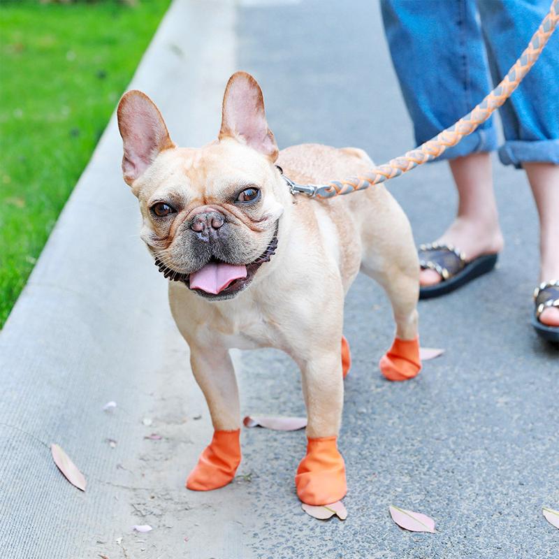 PootShield Waterdichte Hondenschoenen met Grip en Beschermend Comfort