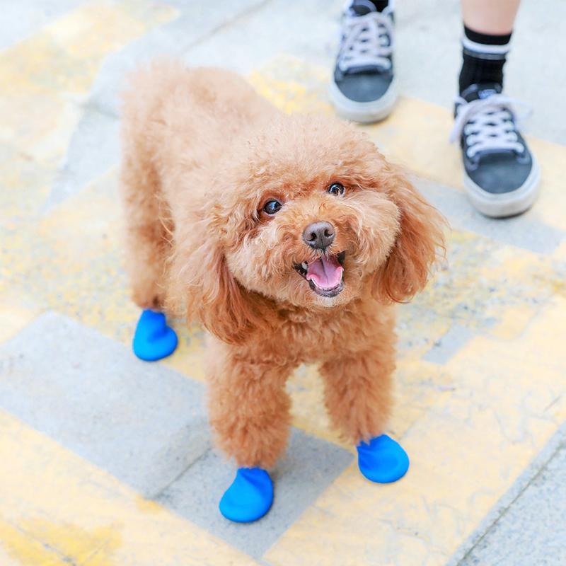 PootShield Waterdichte Hondenschoenen met Grip en Beschermend Comfort