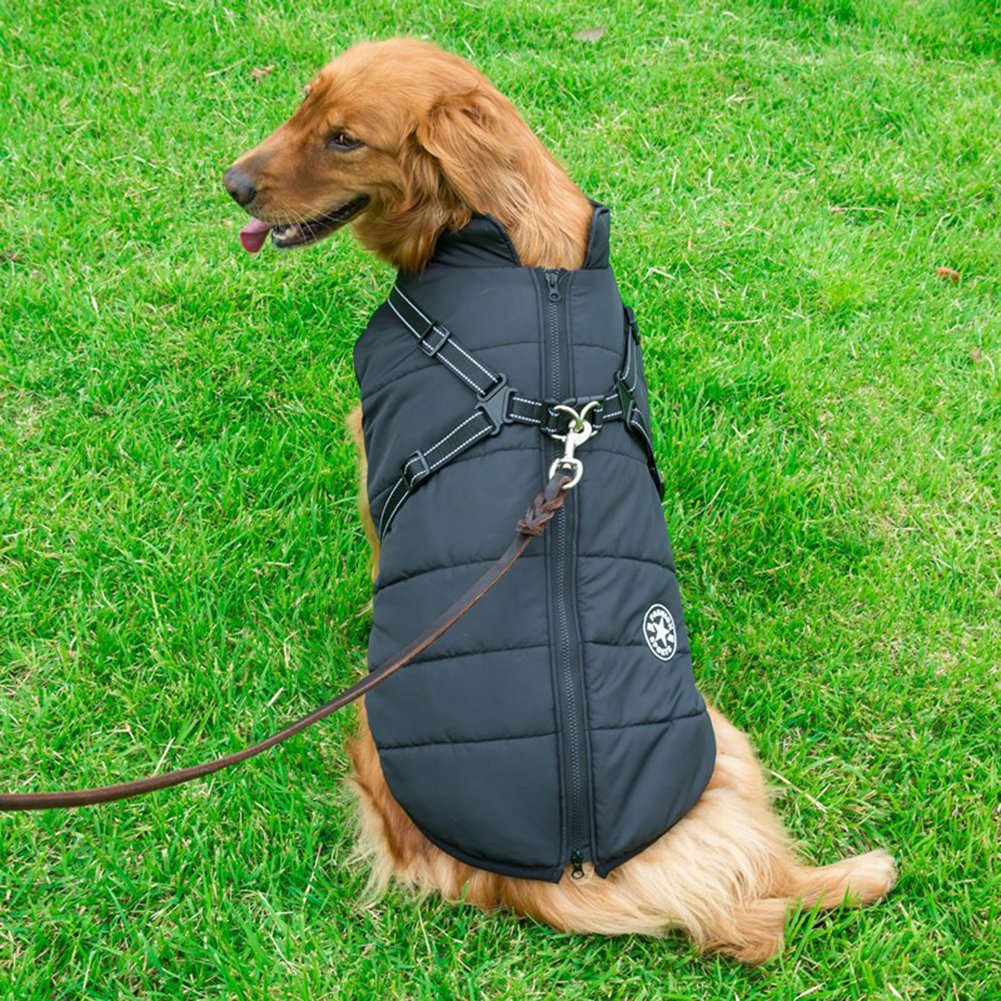 WoofGuard - Winterjack met geïntegreerde harnas