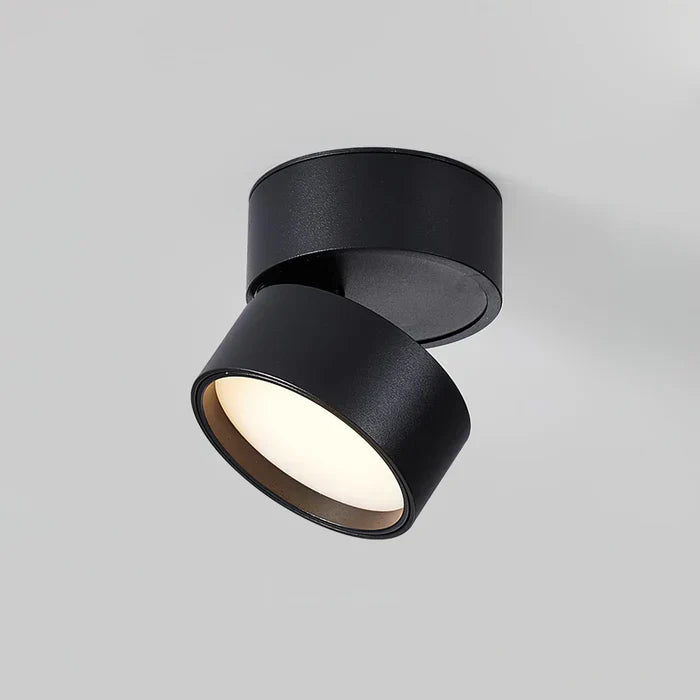 Moderne verstelbare LED plafondlamp