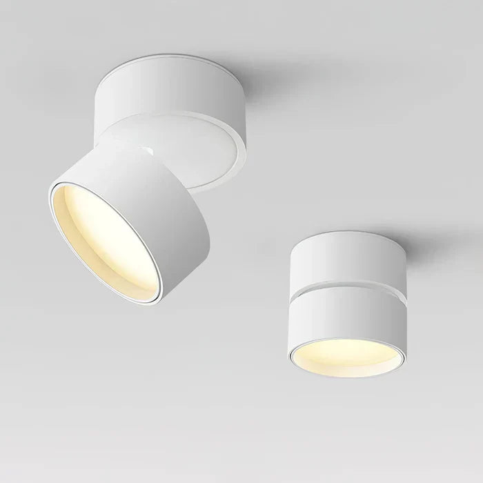 Moderne verstelbare LED plafondlamp