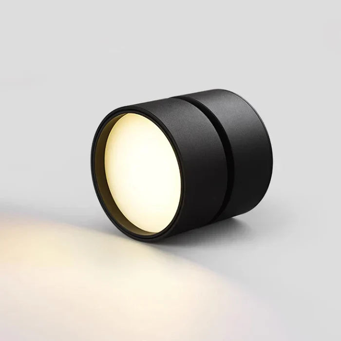 Moderne verstelbare LED plafondlamp