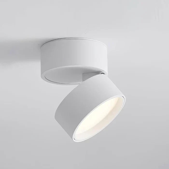 Moderne verstelbare LED plafondlamp
