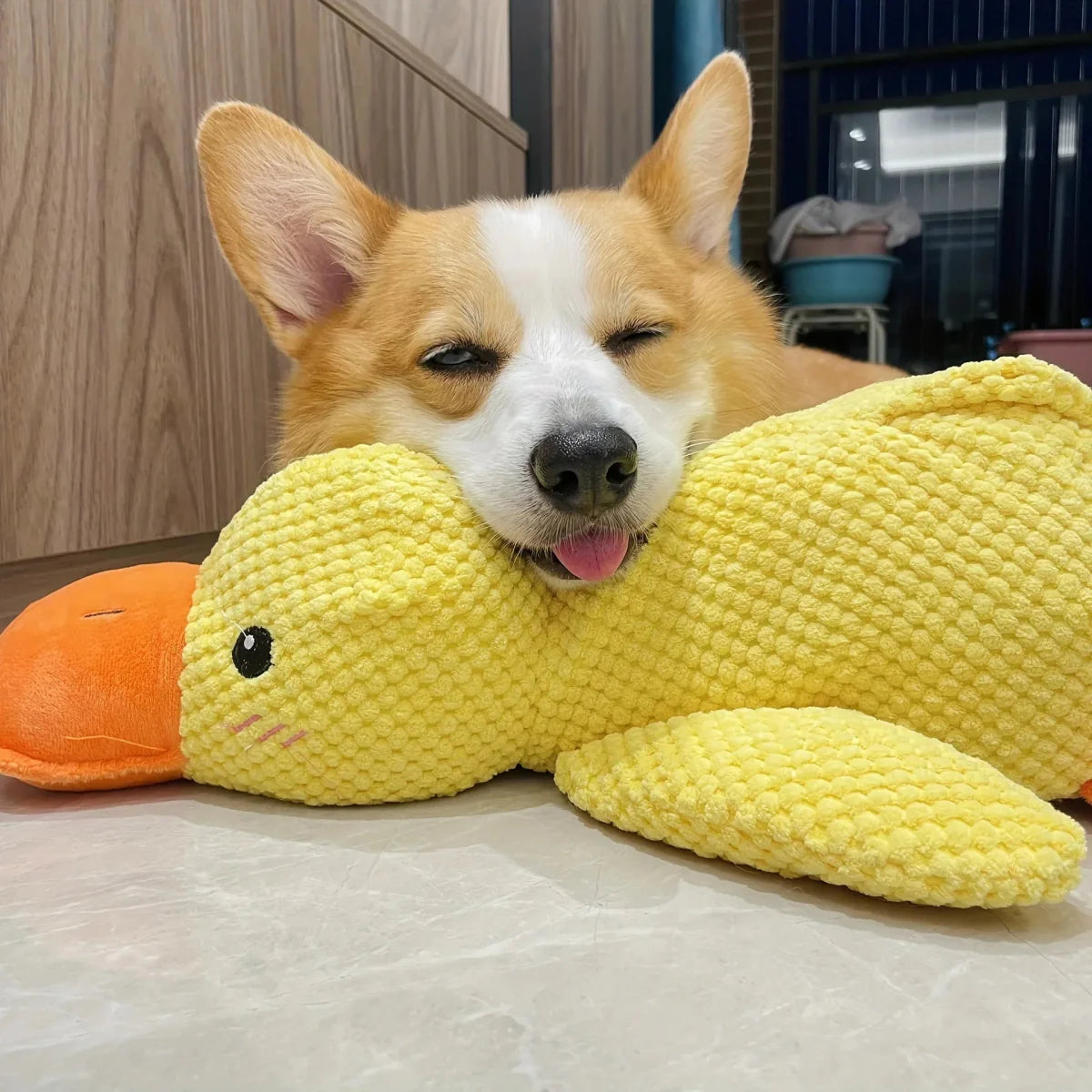 QuackyPaws • De Kalmerende Eend