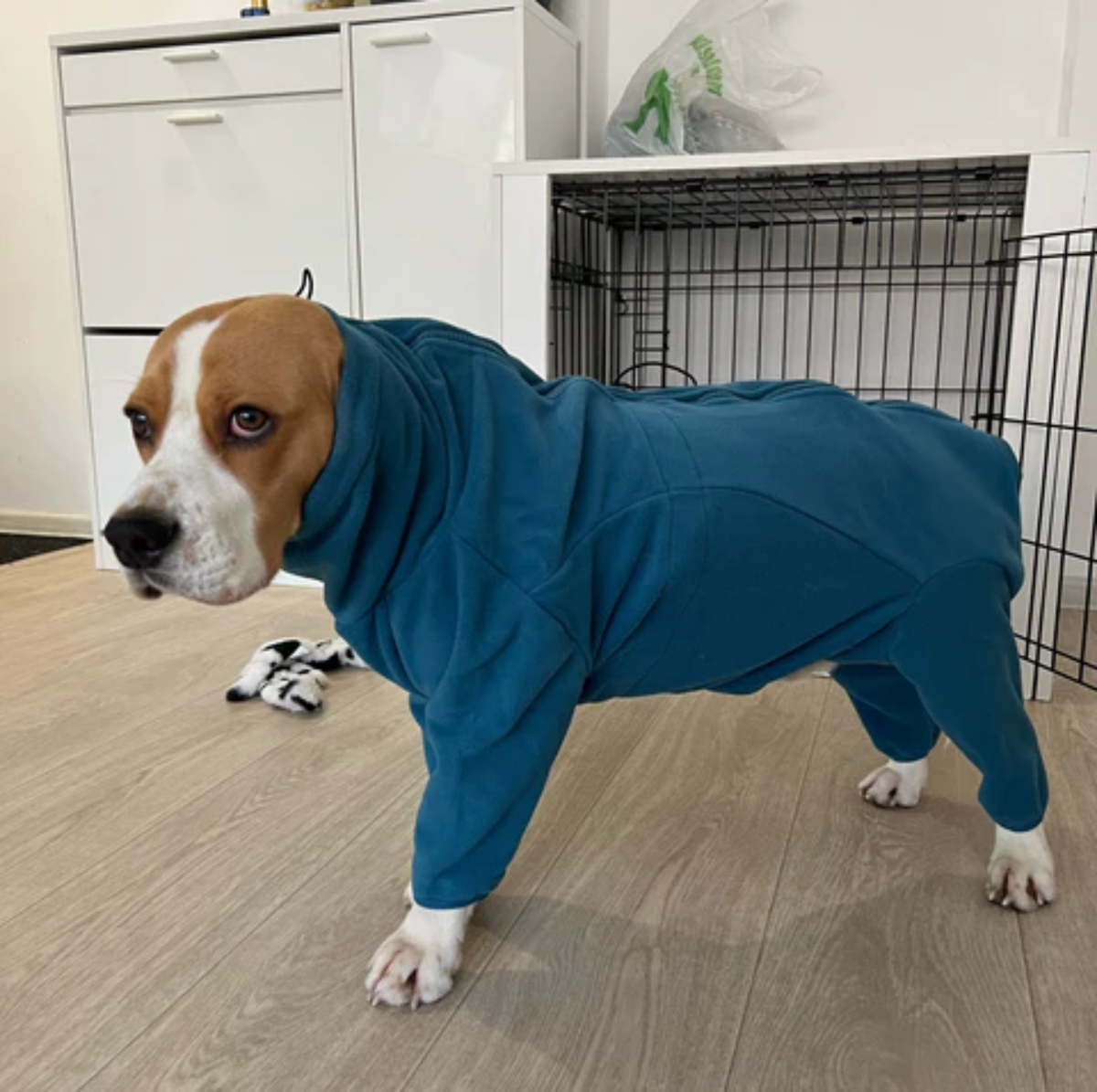 Winter Warme Hond Jas