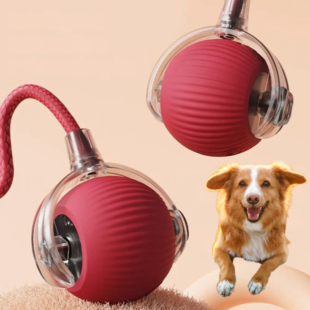 Skanto | Interactief Rollende Bal Speelgoed met Staart voor Honden