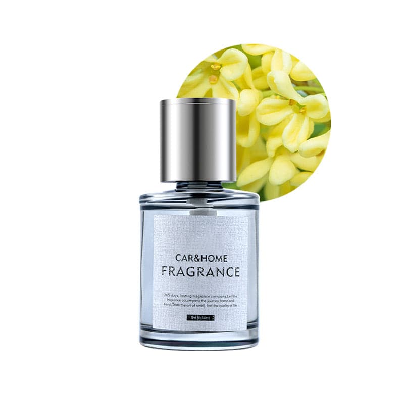 FreshMist | Geniet als nooit tevoren van een nieuw niveau van frisheid in je auto