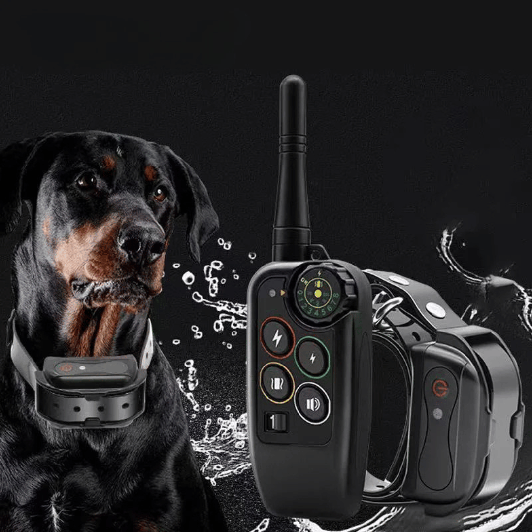 Langere Bereik 1000m Waterdichte Honden Trainings E-Collar & Afstandsbediening