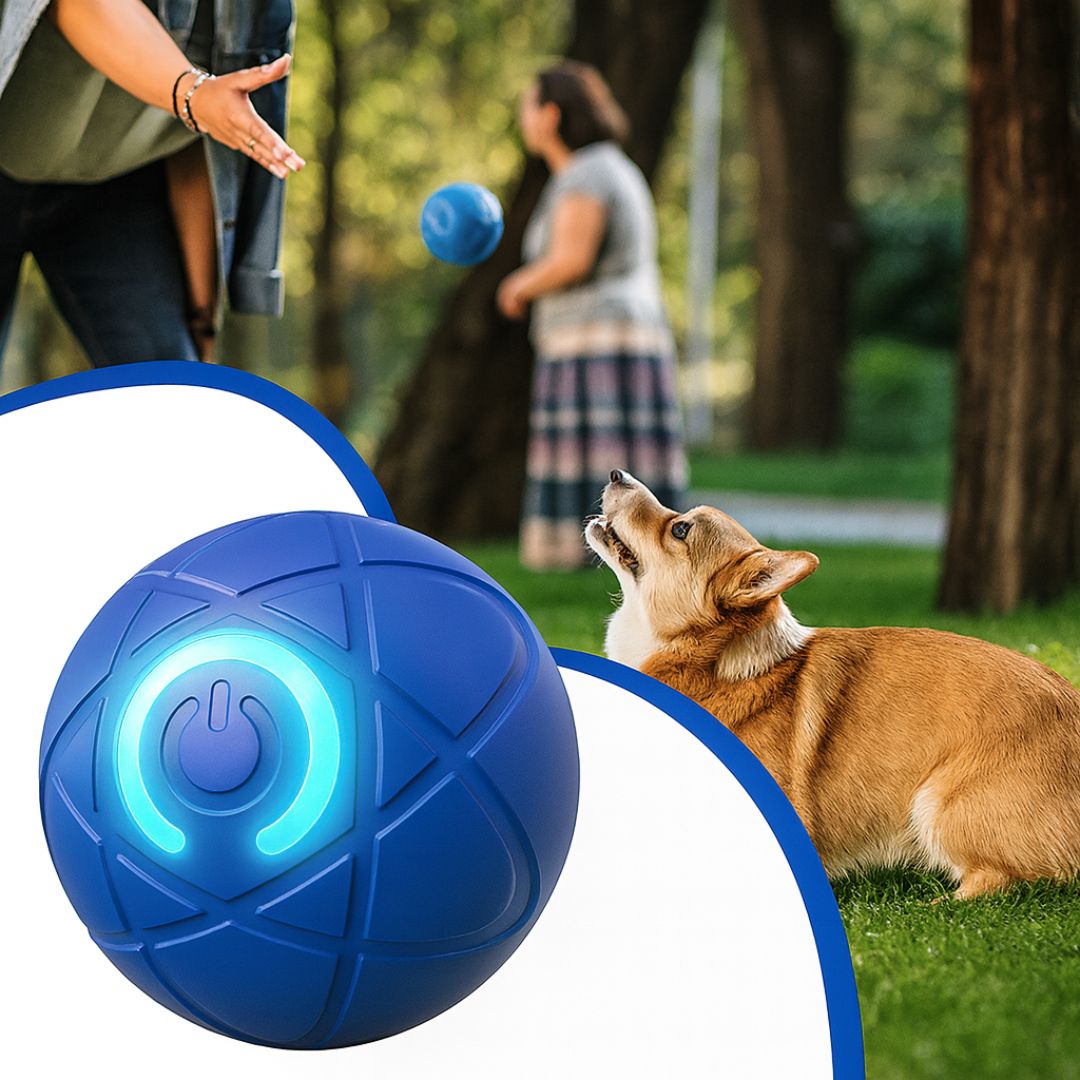 Hondenspeelgoed | Interactief Speelgoed voor Honden | WuffBall