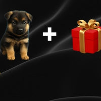Interactieve Robot Puppy met Realistische Bewegingen voor Speelse Plezier