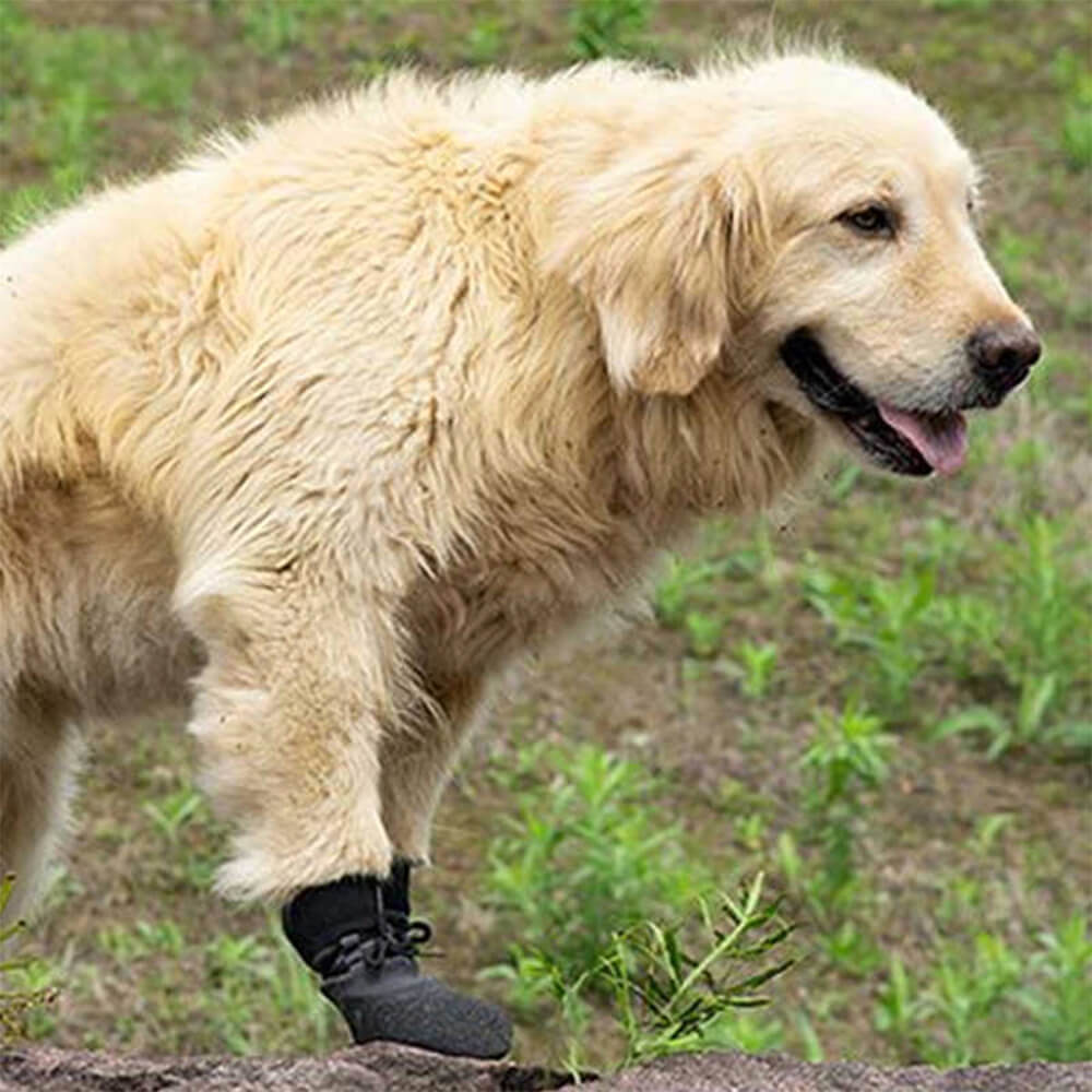 Buiten waterdichte ademende wandelschoenen voor honden
