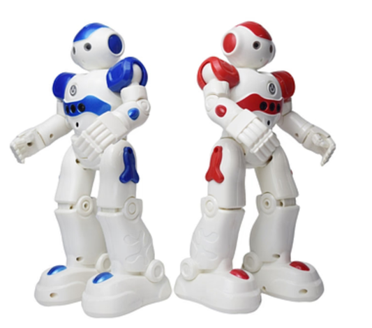 Slimme Robot