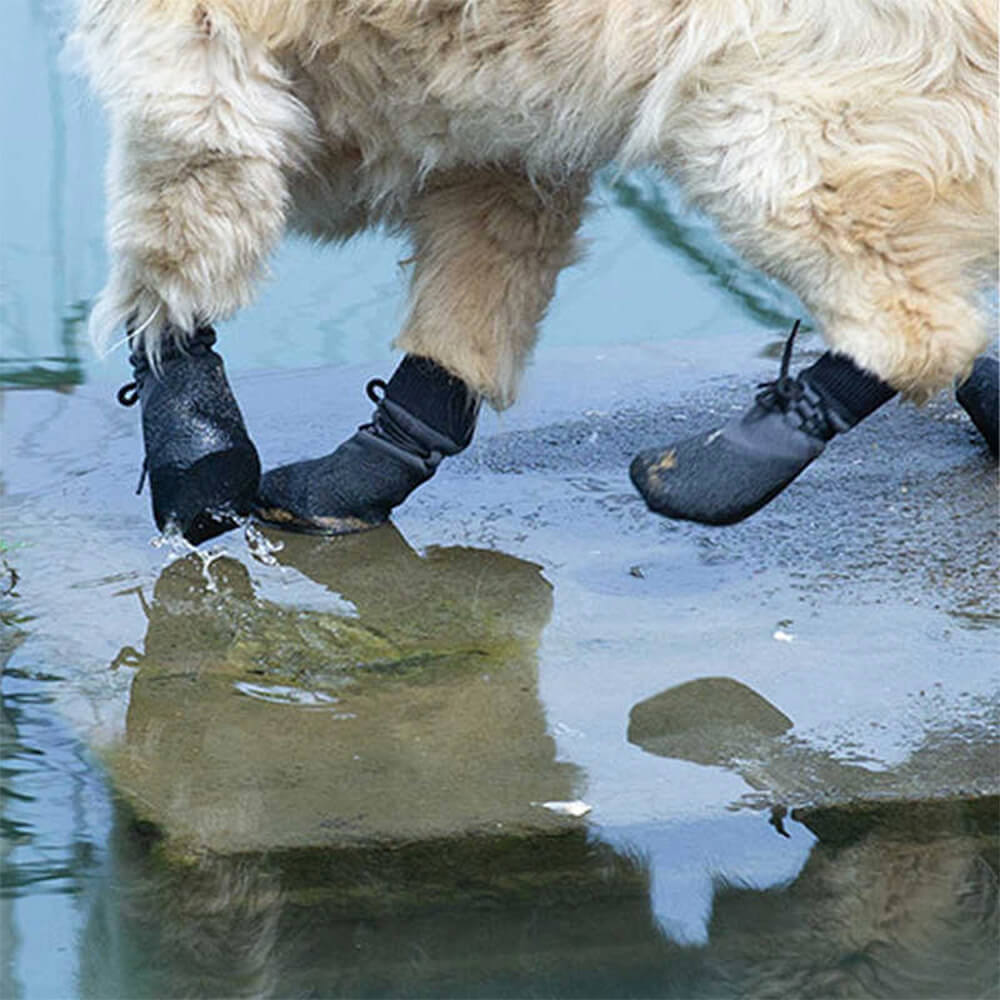 Buiten waterdichte ademende wandelschoenen voor honden