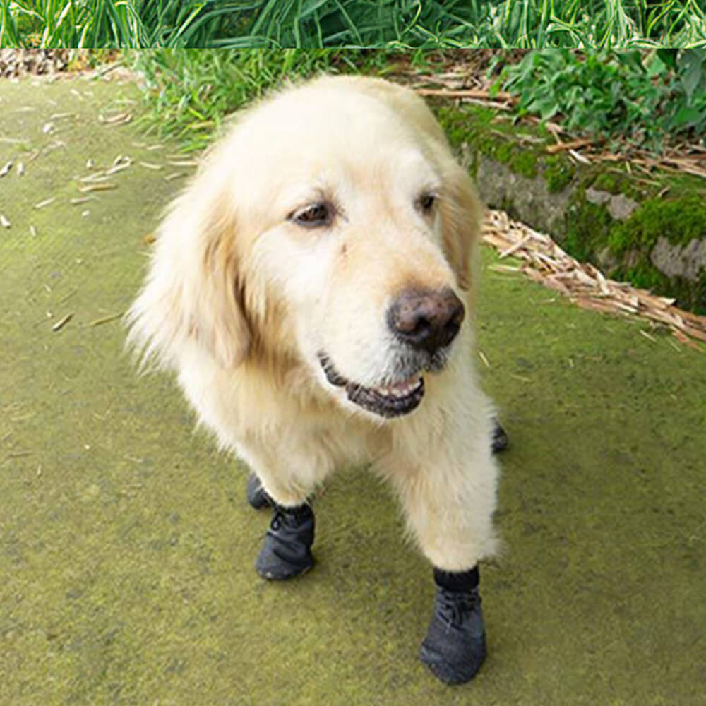 Buiten waterdichte ademende wandelschoenen voor honden